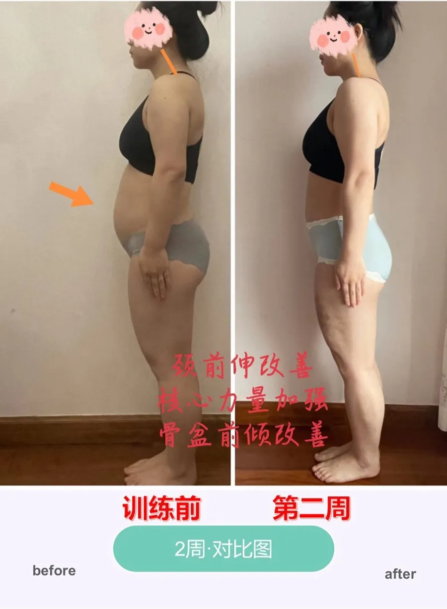 2 周 核心 · 体态